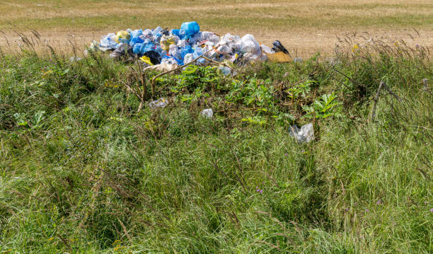 istock Household waste on field 1166860446