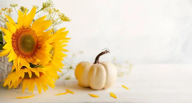 Autumn still life with sunflowers and white pumpkin.Autumn arrangement on a white wooden table.