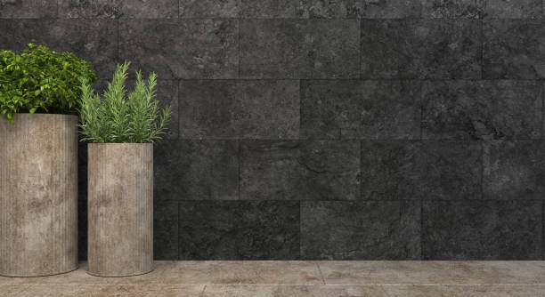 istock Cylindrical concrete flower pots with loft-style plants stand against a black wall. Front view with copy space. 3D rendering illustration. 1166861614