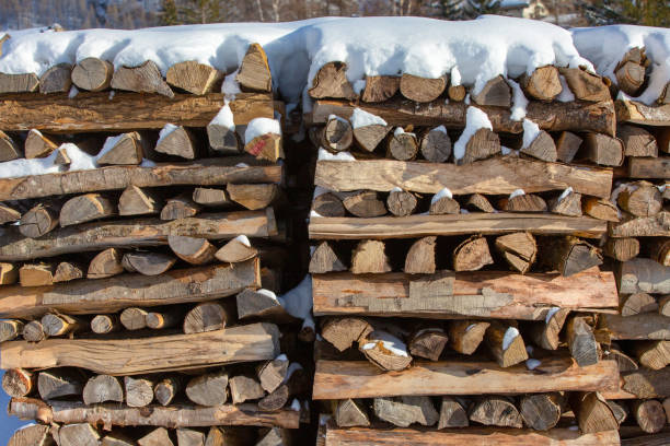 istock Neatly stacked firewood. Close-up 1166861880