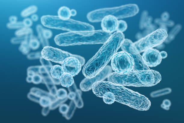 Close-up of 3d microscopic blue bacteria Enterobacteriaceae, gram-negative rod-shaped bacteria, part of intestinal microbiome and causative agents of different infections, 3D rendering. Escherichia coli, Klebsiella, Enterobacter and other bacterium stock pictures, royalty-free photos & images