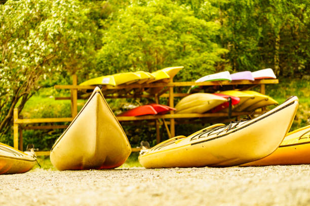 istock Kayaks on water shore. Rental area 1166863179