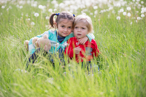 Little brother and sister in the meadow. Children sit on the grass. Friends in a dandelion field
