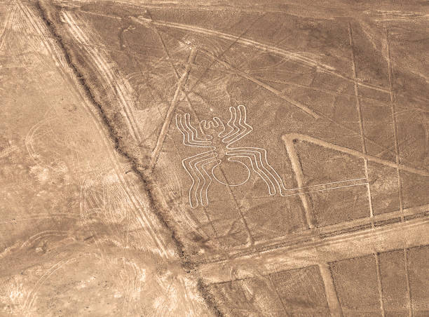 Spider, Nazca Lines, Peru stock photo