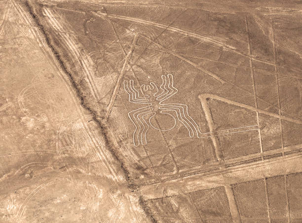 pająk, linie nazca, peru - ice zdjęcia i obrazy z banku zdjęć