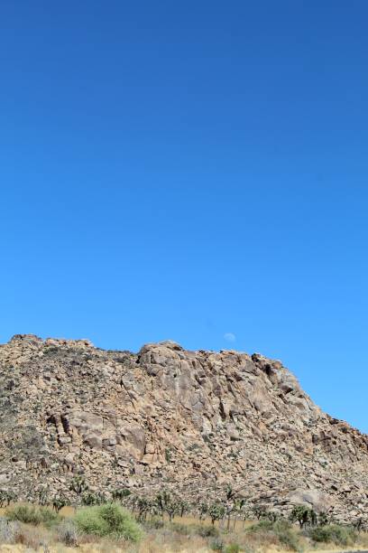 istock LITTLE SAN BERNARDINO MOUNTAINS - JOSHUA TREE NP - 071119 B 1166866871