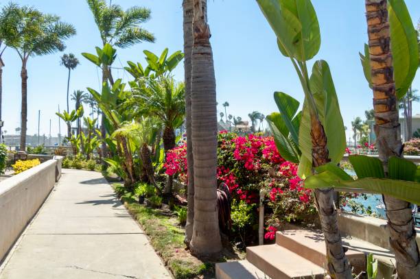 istock Coastal Walkway with tropical plants 1166868990