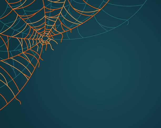 Corner Spiderweb Spooky Halloween corner spiderweb with space for copy. arachnophobia stock illustrations
