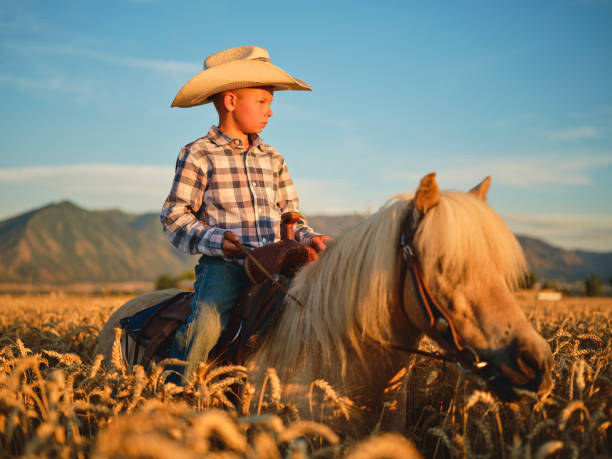 istock Young Cowboy Riding His Pony Horse 1166874926