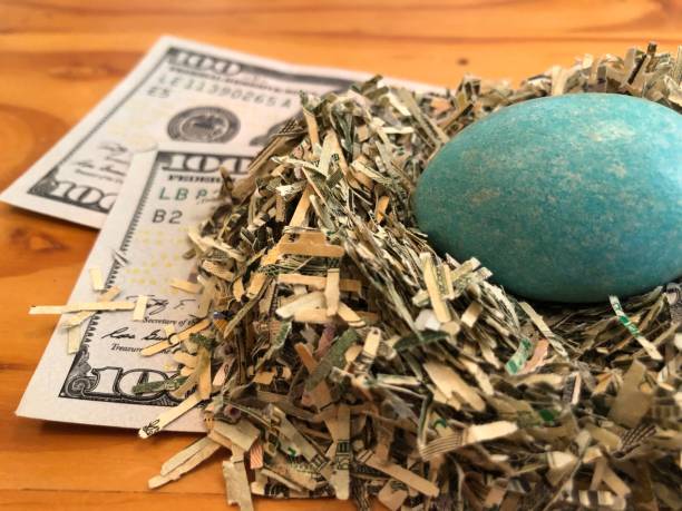 деньги гнездо яйцо с измельченной валютой сто долларовых купюр и синий робин яйцо - budget savings home finances too small стоковые фото и изображения