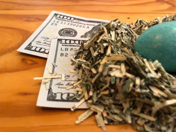 Photo of Money nest egg with shredded currency hundred dollar bills and blue robin egg