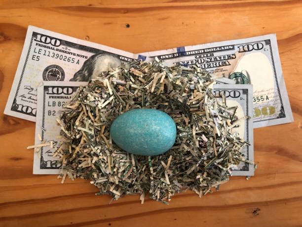 돈 둥지 달걀 파쇄 통화 백 달러 지폐와 블루 로빈 달걀 - birds nest animal nest nest egg savings 뉴스 사진 이미지