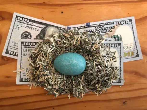 Photo of Money nest egg with shredded currency hundred dollar bills and blue robin egg