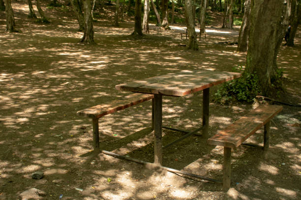 istock Picnic table in the woods 1166888750