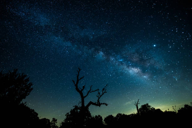 istock Amazing Milky Way With A Bare Wood 1166889588