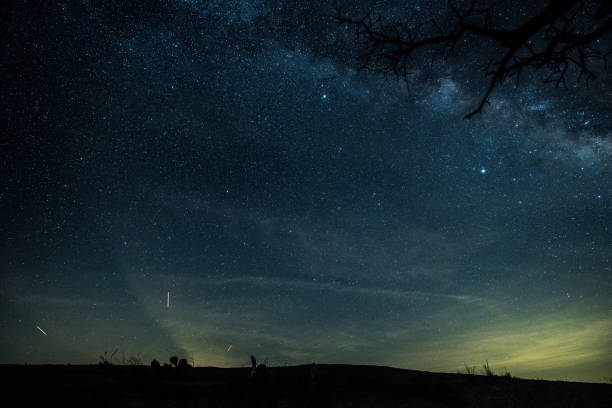 istock Amazing Milky Way With A Bare Wood 1166889591