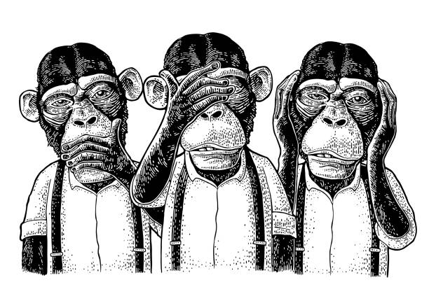 trzy mądre małpy. nie widzieć, nie słyszeć, nie mówić. grawerowanie vintage - see no evil hear no evil speak no evil stock illustrations