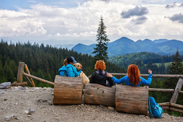 Three female friends and a dog having a break and enjoying nature and the forest at the top of the mountain