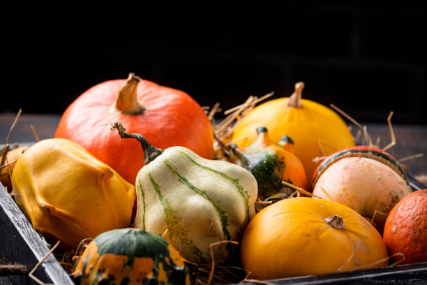 istock Assortment of decorative colorful pumpkins 1166894270