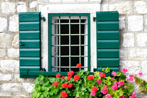 istock Geraniums in the flowerpots as a decoration by the doors and windows 1166896280