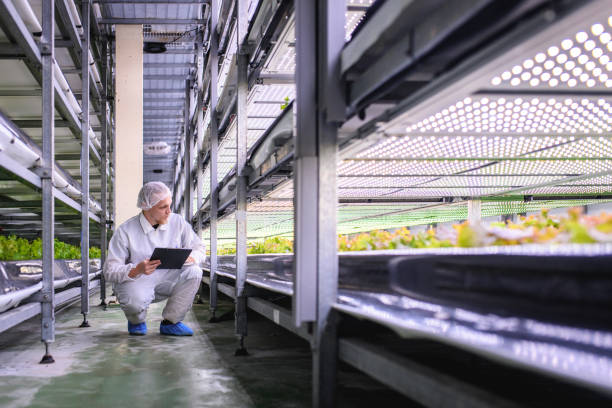 agricoltura di precisione che monitora la crescita delle colture indoor - 2649 foto e immagini stock