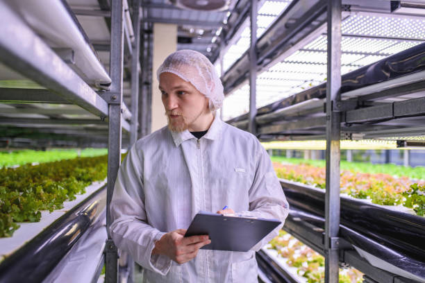 istock Vertical Farmer Studying Development of Living Lettuce Crops 1166900278