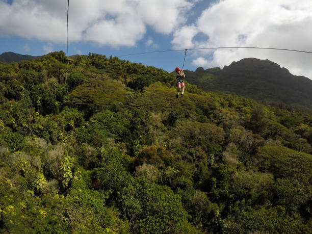 zip futter abenteuer im dschungel von kauai mit mama - ziplining zip line outdoors zip lining stock-fotos und bilder