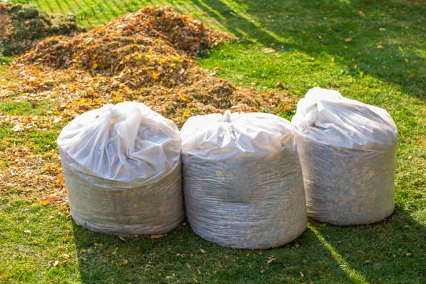 Pile of yellow and orange fallen leaves collected in big white plastic bags on green grass lawn at backyard. Autumn or spring foliage removal in city street or park. Natural waste cleaning disposal. montón de hojas caídas amarillas y naranjas recogidas en grandes bolsas de plástico blanco en césped de césped verde en el patio trasero. remoción de follaje de otoño o primavera en la calle o parque de la ciudad. eliminación de limpieza de residuo