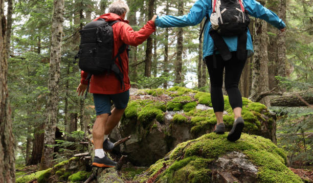 istock Mature couple explore a temperate rainforest 1166902260