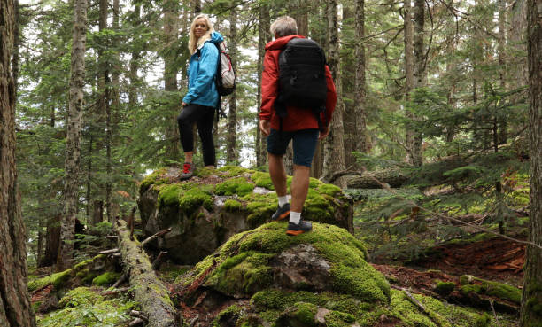 istock Mature couple hike through rainforest 1166902284