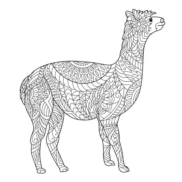 Vector illustration of Alpaca coloring page for adult and children