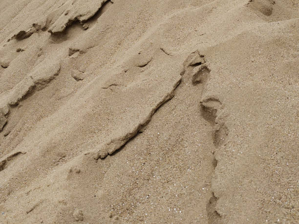 istock Close-up of fine sand for construction work, fines and texture background 1166904018