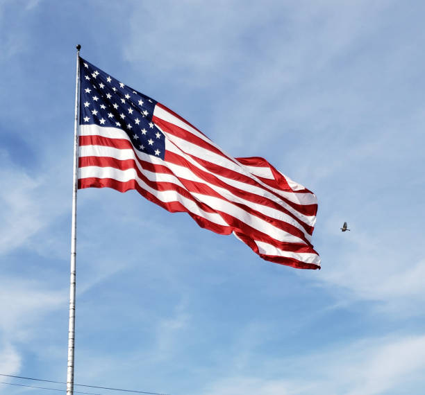 istock Large American Flag Stretched Out with Bird 1166905038