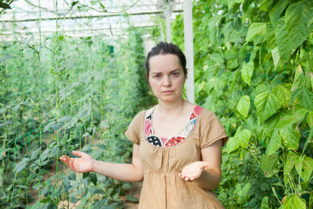 Confident female gardener checking plants while gardening in glasshouse