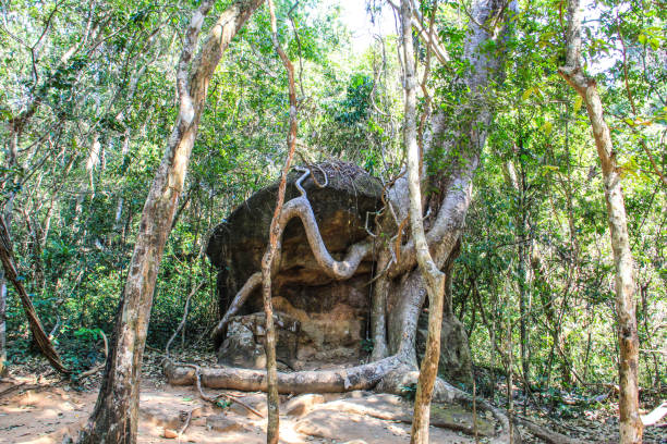 istock Cambodia Siem Reap Kbal Spean 1166914146