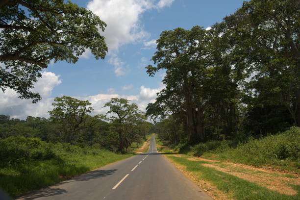 Road into jungle horizon, Kwanza Norte stock photo