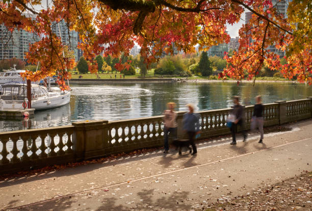 istock Autumn Seawall Stanley Park 1166920978