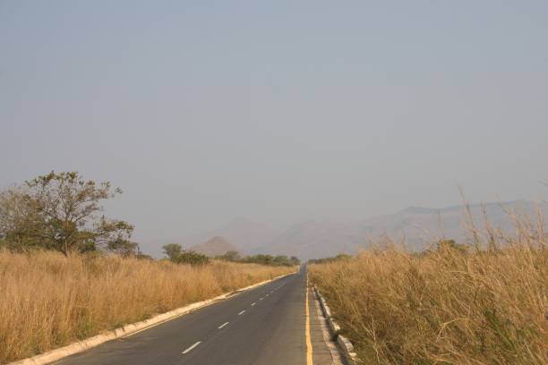 Road amongst golden grass, Kwanza Norte stock photo