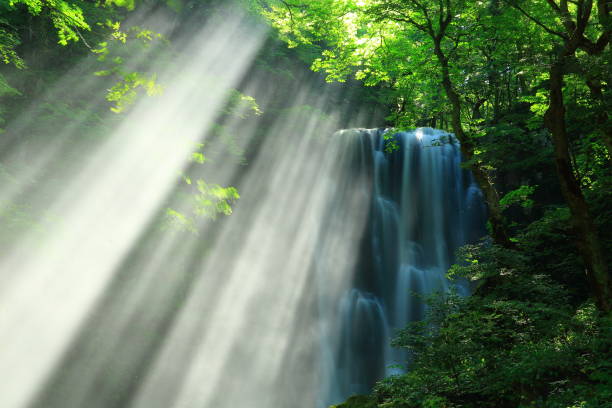 istock Akita Prefecture Summer Falls 1166926287