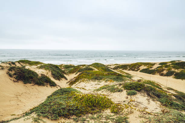 Oso Flaco Lake Natural Area. Walking Through the Dunes