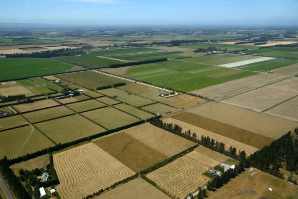 istock Canterbury farmland 1166930718