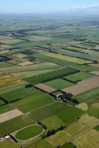 istock Canterbury farmland 1166930728
