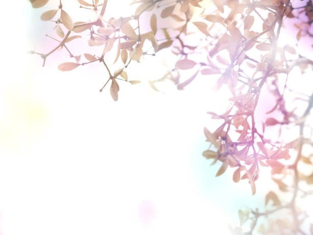 istock Floral abstract monotone color background. 1166930852