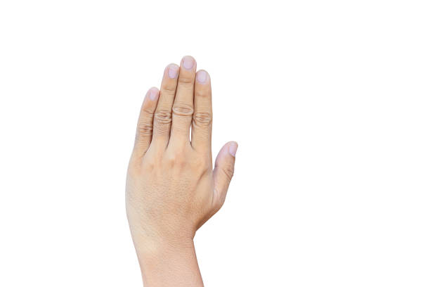 istock Man palm isolated on a white background 1166932838
