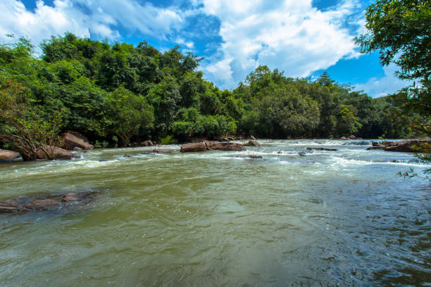 istock Downloading, Water, Autumn, Lake, Rainforest 1166935532