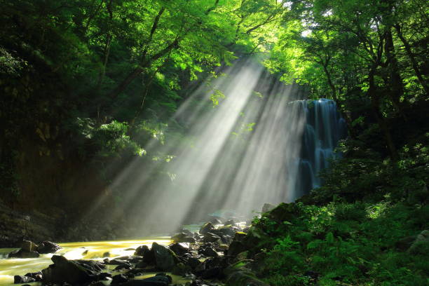 istock Akita Prefecture Summer Falls 1166935753