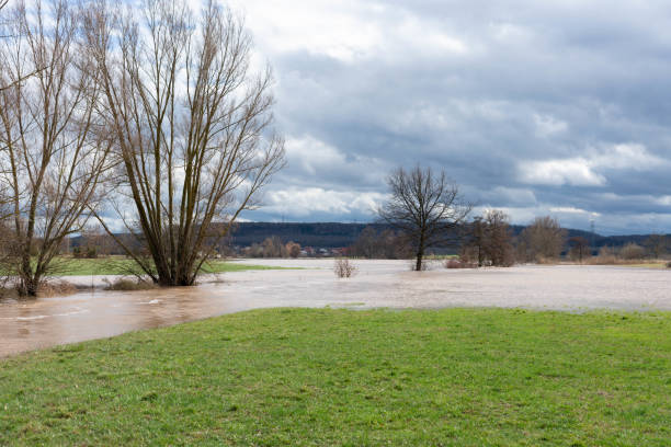 High water of a small river flooding the green meadows and the fields in spring
