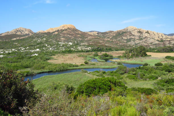 The beautiful Plage d'Ostriconi is one of the wildest beaches in Corsica with a nice green estuary, France, Europe