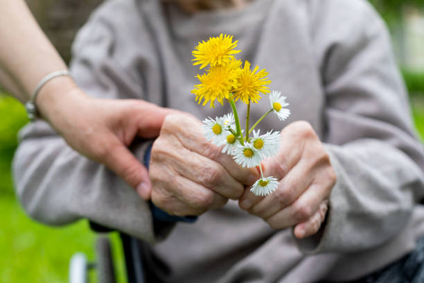 уход за пожилыми людьми - руки, букет - community outreach aging process human age retirement стоковые фото и изображения