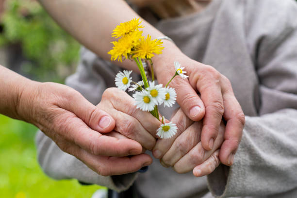 istock Elderly care - hands, bouquet 1166946645